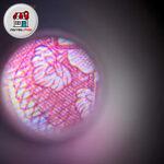 میکروسکوپ موبایل یونیورسال