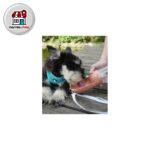 قمقمه آبخوری حیوانات