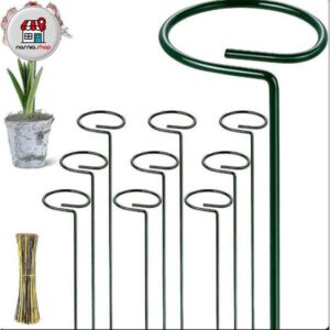 پایه نگهدارنده گل 6 عددی