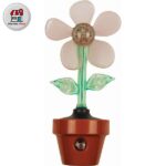 شب خواب گل سنسوردار