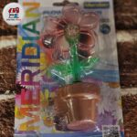 شب خواب گل سنسوردار