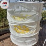 توری میوه خشک کن 3 طبقه